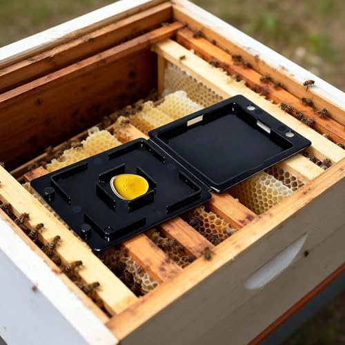 50 PCS Hive Beetle Catchers, Reusable Black Plastic Beekeeping Supplies, Beekeeping Tools for Farm & Apiary Care