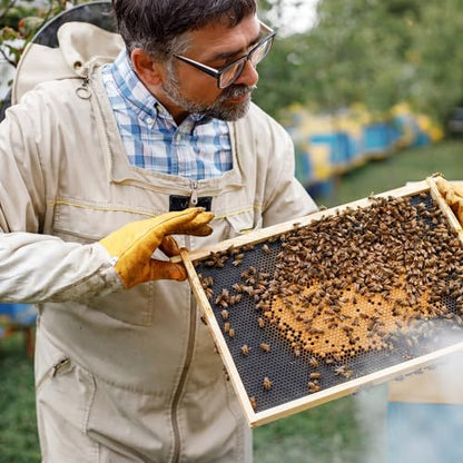 Weysat 40 Pcs Waxed Coated Beehive Foundation Sheets Beehive Wax Coated Foundation for Bee Frames Plastic Beeswax Sheet Bee Hive Equipment Deep Frame (Black) - color: Black