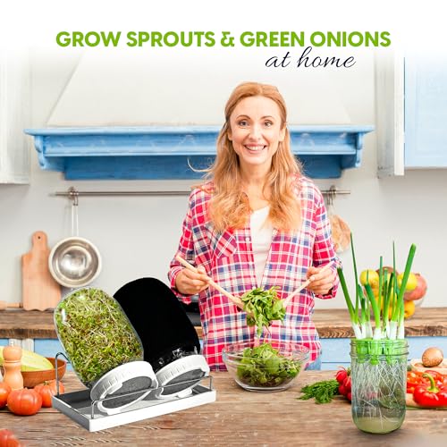 Broccoli Sprouting Kit & Green Onion Regrower with USA Organic Broccoli & Alfalfa Seeds – 2 Wide-Mouth Mason Jars, Sprout Lids, Stainless Stand, Drain Tray & Blackout Sleeves - color: Sprouts Growing Kit & Green Onion Regrower