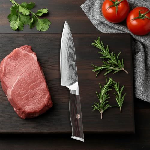 Utility Knife,5.5inch Damascus knife,67-Layer High Carbon Stainless Steel Kitchen Knife,Professiona Sharp Cutting Knives with Ergonomic Red G10 Handle,Gift Box for Home and Kitchen Birthday Gift - style: 13C pro Utility Knife(Red Black)