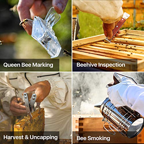 Flexzion Bee Keeping Starter Kit - 10 Piece Beekeeping Tools & Bee Keeping Supplies-All Set with Smoker, Frame Holder, Gloves, Bee Brush, Scraper, Fork, Queen Clip Cage, Marking Tube, Feeder & Frame