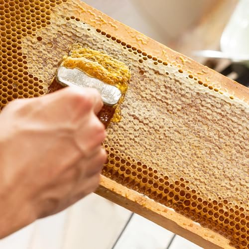 BuleVina Honey Uncapping Fork Tool Bee Keeping Shovel Knife Scraper with 18 Stainless Steel Tines and Plastic Handle Extractor Equipment Herramientas Apicultor