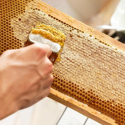 BuleVina Honey Uncapping Fork Tool Bee Keeping Shovel Knife Scraper with 18 Stainless Steel Tines and Plastic Handle Extractor Equipment Herramientas Apicultor