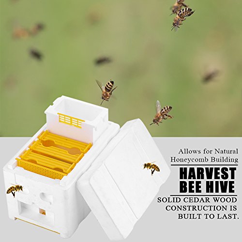 Bee Mating Hive Case Box, Beekeeping Queen Breeding Box with Water Feede, Rearing Beehive Harvest Beekeeping King Pollination Box, hive Beekeeper Supplies Reserve Tool