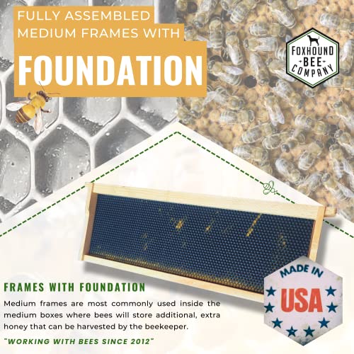 Foxhound Bee Company - Made in USA - Fully Assembled Medium Beekeeping Frames with Double Wax Beeswax Coated Plastic Foundation - 20 Pack - style: Medium - 20 pack