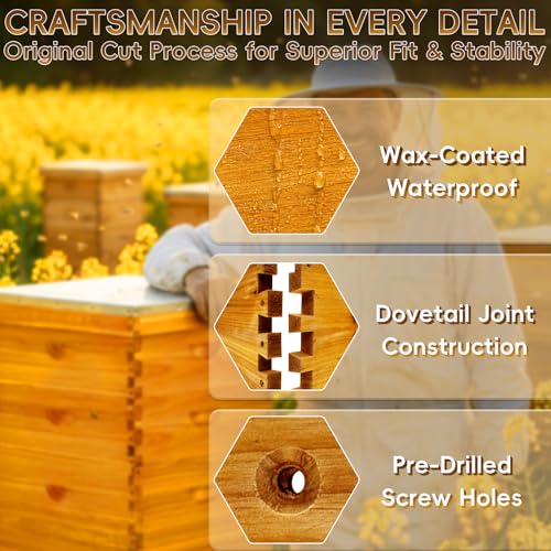 10-Frame Langstroth Bee Hive Deep and Medium Box Kit, Beeswax Coated Bee Boxes Not Include Frames and Foundations (Unassembled)
