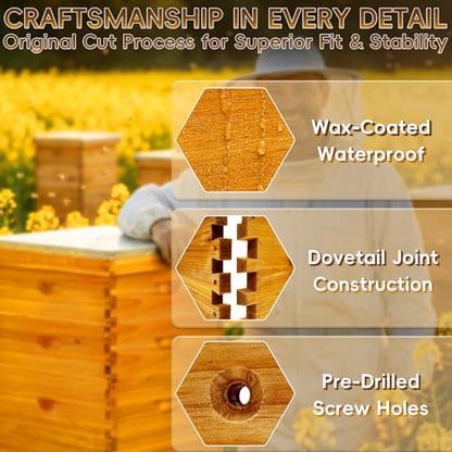 10-Frame Langstroth Bee Hive Deep and Medium Box Kit, Beeswax Coated Bee Boxes Not Include Frames and Foundations (Unassembled)