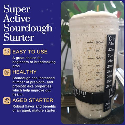San Francisco Sourdough Starter Culture- 100+ Year Old Dehydrated Heirloom Style Sourdough Starter Kit for Sourdough Bread, Pizza, Buns, Pancakes, Muffins | Easy to follow instructions. By Captain Sourpants