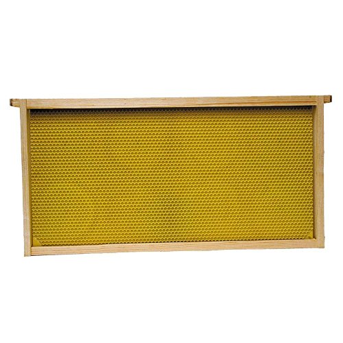 Harvest Lane Honey WWFFD-101-5 Assembled Deep Frame and Foundation, 5 Pack