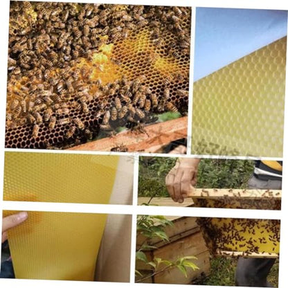 10Pcs Natural Beeswax Sheets Beekeeping Supplies Honeycomb Wax Foundation for Beehive Frames Apiary Equipment 16.33X7.67In
