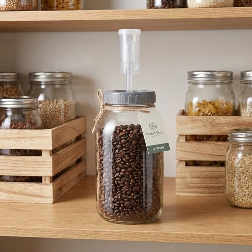 Operitacx Mason Jar Fermentation Kit, 64oz/1L Scale Marked Fermentation Jar with Lid, Airlocks, Wood Sign for Easy Fermenting & Storage
