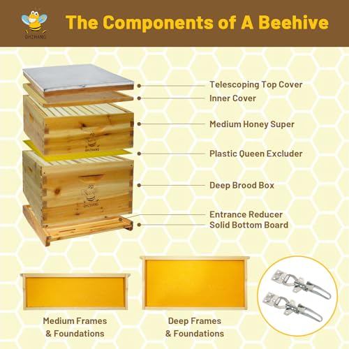 Beehive/Langstroth 10 Frame bee Box/bee Hives Boxes Starter kit with 100% Beeswax Includes Beehive Frames and Beeswax Coated Foundation Boards(1 Deep Boxes & 1 Medium Boxes)