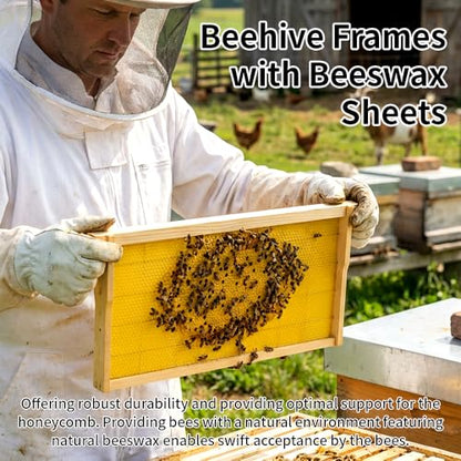 20 Pack Beehive Frames with Beeswax Sheets, Assembled Deep Beehive Frames and Beeswax Foundation Sheets, 9-1/8-Inch for Beekeeping Supplies - size: 20PCS