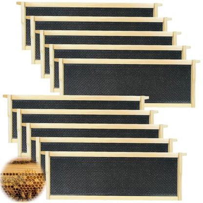 Medium Super Beehive Frames and Wax Foundations, Honey Bee Frames with 100% Beeswax Coated Foundation Sheets, Bee Hive Frame and Foundation 10 Pack