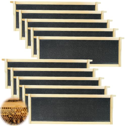 Medium Super Beehive Frames and Wax Foundations, Honey Bee Frames with 100% Beeswax Coated Foundation Sheets, Bee Hive Frame and Foundation 10 Pack