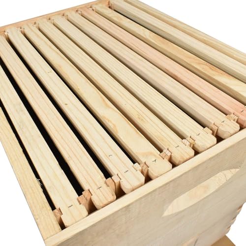 GL-2B1SK-ER Beekeeping Double Deep Box Beehive Kit