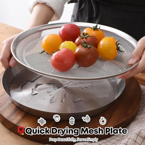 WAGENSTEIGER Stainless Steel Mesh Tray Set with Drip Pan, Air Fryer Basket and Tray, Kitchen Colander, Vegetable and Fruit Strainer, Food Filter, BBQ Prep Tool, Fruit Serving Dishes (11.42 inch) - size: 11.42 inch