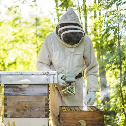 Blisstime Bee Hive Bee Smoker Stainless Steel with Heat Shield Beekeeping Supplies and Equipment