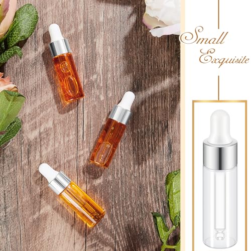 Didaey 100 Pcs 1/2/3/5/10/15 ml Mini Glass Oil Dropper Bottle Bulk, Clear Essential Small Empty Bottles Sample Containers Perfume Liquid Vials with Cap for Traveling (5 ml,Classic Silver) - color: Classic Silver, size: 5 ml