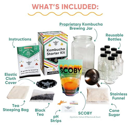 Craft A Brew - Kombucha Deluxe Starter Kit - For Home Brewing - Includes Kombucha Kit and SCOBY, plus 8 16oz Reusable Kombucha Bottles, Stainless Funnel and Strainer, and PH test Strips - color: Deluxe Kit