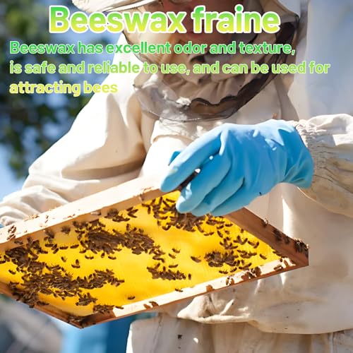 Beeswax Sheets Beehive Wax Foundation Sheets Natural and Additive-Free, for Candle Making, Crafts, Beekeeping, and DIY Projects, High-Quality Beeswax for Pure, Eco-Friendly Creations