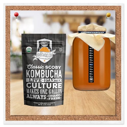 Kombucha Essentials Kit - Includes USDA Organic Kombucha SCOBY + 1-Gallon Glass Fermenting Jar with Breathable Cover + pH Strips + Rubber Band + Adhesive Thermometer - Brew kombucha at Home