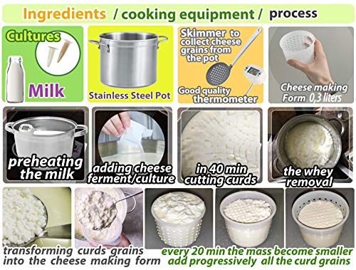 3 pcs Small Cheese Mold for Cheese Making 1/3 qt - Soft Cheese Molds - Homemade Cheese Making Supplies - Cream Cheese Form Mold - Moldes Para Queso Fresco Casero - Feta Ricotta Cheese Making