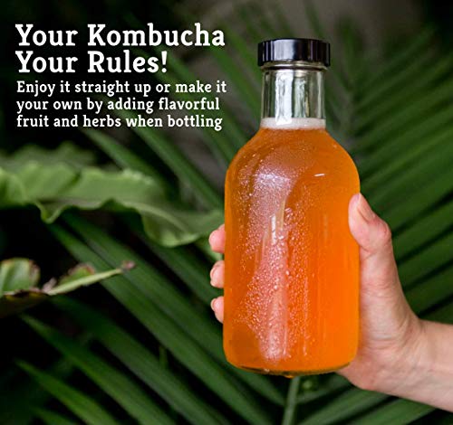 Craft A Brew - Kombucha Basic Starter Kit - For Home Brewing - Includes Fresh Kombucha SCOBY Starter, 1 Gallon Fermenting Jar, Cloth Cover, Brewing Guide - color: Basic Kit