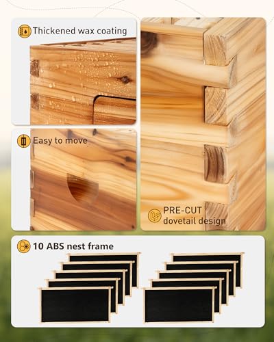 Bee Hive 10 Frame Bee Box Starter Kit, Beeswax Coated Bee Hives for Beekeepers, 2 Deep + 1 Medium Langstroth Beehive Kit, Beekeeping Supplies with Transparent Plastic Window and Queen Excluder