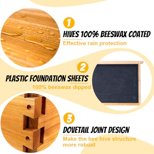 Honey Lake 8 Frame Beehive Deep Brood Box, Langstroth Honey Bee Hive Box Dipped in Beeswax with Beehive Frames and Waxed Foundations for Beekeeper (Unassembled)