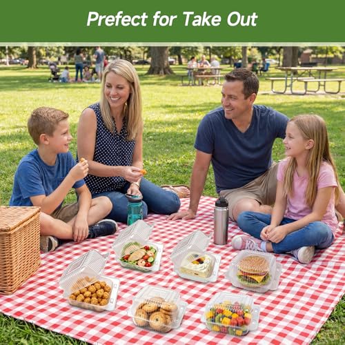 Dealusy 100 Pack Extra Heavy Duty Clear Slice Cake Carriers, Plastic Food Storage Containers, Premium Disposable Takeout Containers with Lids, To Go Boxes for Hamburger, Cake, Dessert, Salad, Sandwich