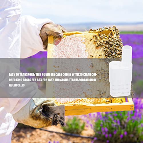 20 Pcs Queen Bee Cages Plastic Transporting Catcher Non-Grafting Beekeeping Queen Cage Beekeeping Rearing Cup Kit for Indoor Home Outdoor