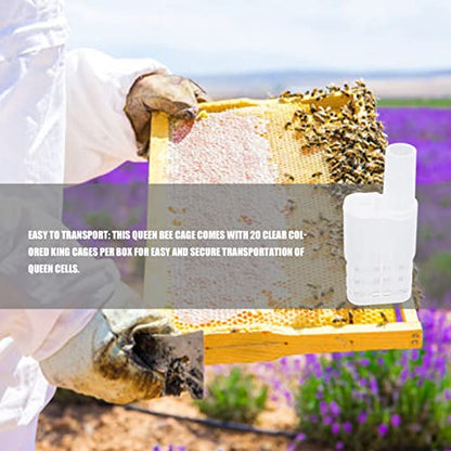 20Pcs Beekeeping Rearing Cup Kit, Plastic Apis Queen Cages Transporting Catcher Insectary Box Beekeeper Equipment Tool, Easy to Install and Clean for Professional and Amateur Beekeepers