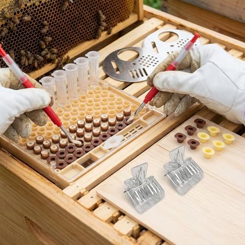 Beekeeping Supplies Kit Beekeeping Supplies Bee Keeping Starter Kit Grafting Tool Plastic Queen Rearing System with Grafting Tool Cell Cups and Beehive Accessories for Hive Management.
