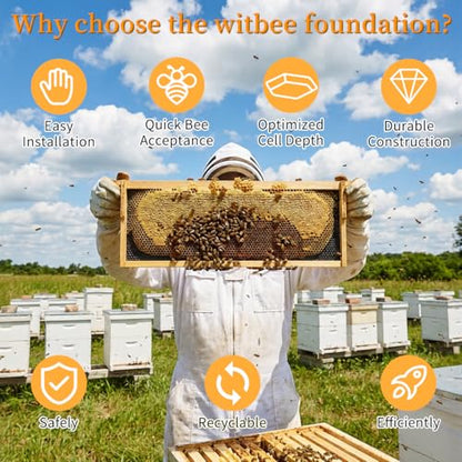 20 Pcs Bee Hive Foundation Beehive Waxed Coated Foundation Sheets Bee Foundation Sheets for Medium Super Bee Hive Waxed Foundation for Bee Frames 5-5/8-Inch Plastic Beehive Foundation Sheets - size: Medium