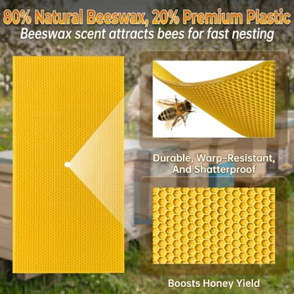 60pcs Natural Beeswax Coated Deep Foundation Sheets, Beeswax Sheets, Beeswax Coated Deep Foundation, Bee Foundation Sheets for Beehive Frames, Beeswax Foundation Sheets for Candle Making