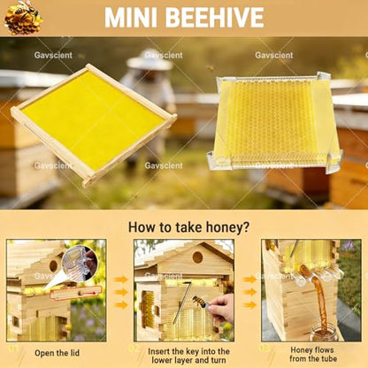 Self Flowing Bee Hive Box, Premium Cedar Wood Beehive Starter Kit Equipped with 7 Auto Super Frames and Bamboo Queen Excluder, Practical Beekeeping Supplies for Beginners and Hobbyists