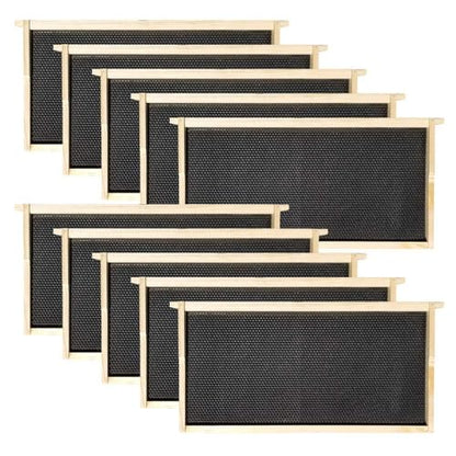 Hoover Hives Deep Wooden Frames with Black Plastic Foundations Coated in Beeswax – Durable Langstroth Beekeeping Frames