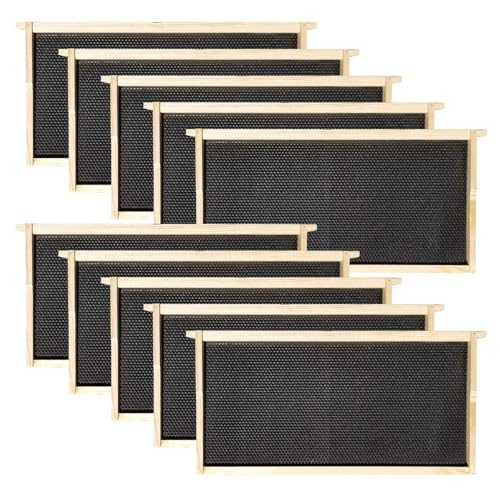 Hoover Hives Deep Wooden Frames with Black Plastic Foundations Coated in Beeswax – Durable Langstroth Beekeeping Frames