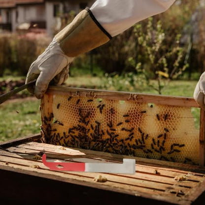 Tool Brush Multi-Purpose Beekeeping Curved Hook with Set Scraper and Beehive Lightweight Wood and Alloy Construction, for Efficient Beekeeping Use
