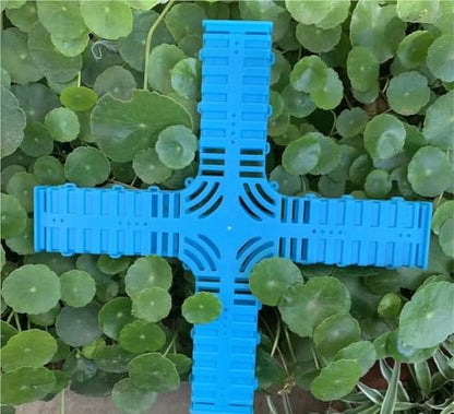 Queen Bee Cage 10pcs King Cage Lengthened Enlarged Bee Prison Queen Plastic Crown Prince Equipment for Beekeeping Supplies