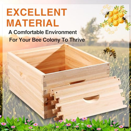 CroBlissful 2 Pcs 10 Frame Bee Hive Box Including Medium Super Beehive Box and Deep Brood Wooden Frames Bee Hives Starter Kit for Beginners Beekeepers (Unassembled)
