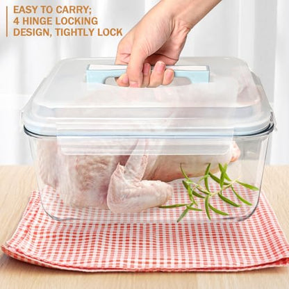Extra Large Glass Storage Containers with Lids 200oz/6000ml/26cup | Silicone Mat Included | Borosilicate Glass | Airtight | Freezer Oven Dishwasher Safe | Rotisserie Chicken | XL Big Food Bowl - color: Light blue handle