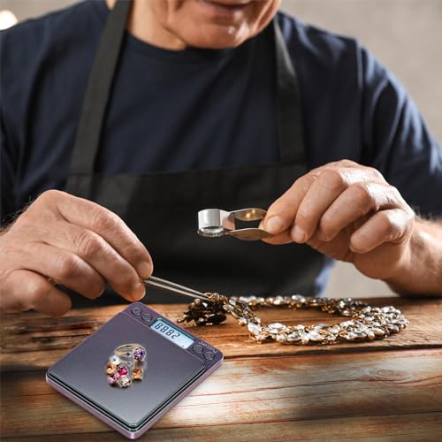 Fuzion Digital Scale .01 Gram Accuracy, 500g Mini Food Scales for Small Jewelry, Gold, Herb, Spice - Weight Gram and Oz - color: Ombré Purple-Green