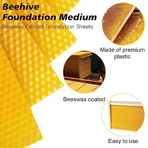 BeeCastle 20pcs Yellow Beehive Beeswax Coated Foundation Sheets, Waxed Foundation for Bee Frames, 5-5/8-Inch Plastic Bee Hive Foundation Sheets for Medium Beehive Frames - size: 5-5/8-Inch