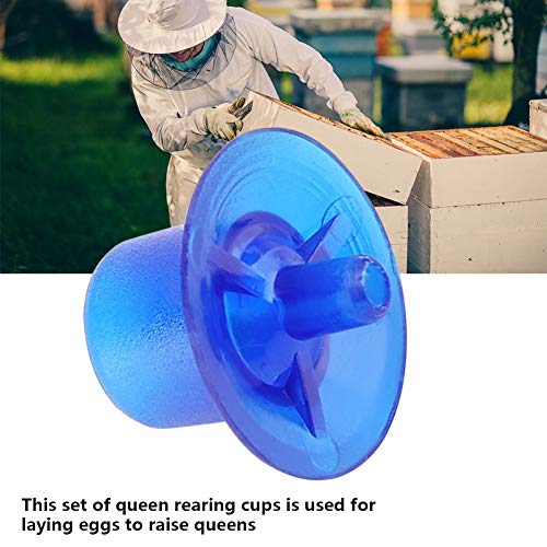 AUNMAS 50pcs Beekeeping Queen Rearing Bee Cups, Queen Cell Cups Cell Cups Bee Keeper Equipment Tool Apiculture Supply Black (Blue) - color: Blue