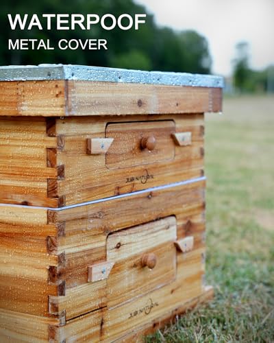 Bee Hive 10 Frame Bee Box Starter Kit, Beeswax Coated Bee Hives | 1 Deep + 1 Medium Langstroth Beehive Kit, Beekeeping Supplies with Transparent Plastic Window and Queen Excluder - size: 1Deep+1Madium Bee Box