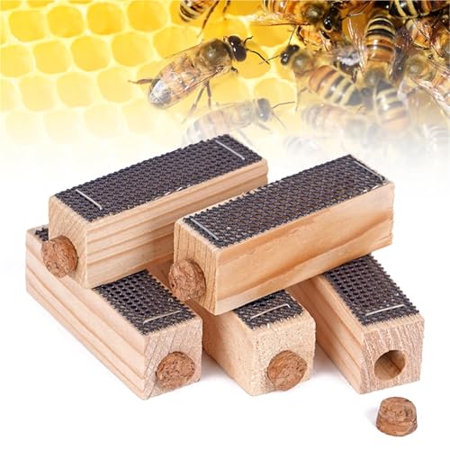 Queen Bee Cage 15pcs Queen Bee Cage Beekeeping Equipment Beehive Storage Transport Wooden Bee King Cage Beehive Rearing King Cages Apiculture Tools for Beekeeping Supplies