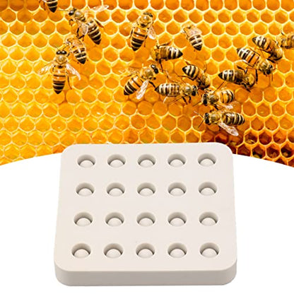 Dpofirs Beekeeping Rearing Box, Queen Rearing System Beekeeping Grafting Kit, Wax Queen Grafting Cups Silicone Beekeeping Beeswax Queen Cell Cups Making (4 Rows 96x92x14mm)