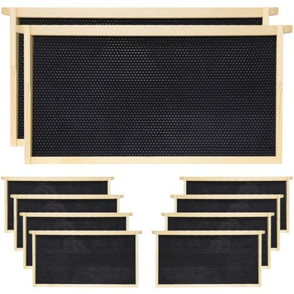 10 Pack Black Bee Hive Deep Frames Unassembled, Wooden Bee Frames with Plastic Beeswax Coated Foundations for Deep Brood Box - color: Black, size: 10 Pack